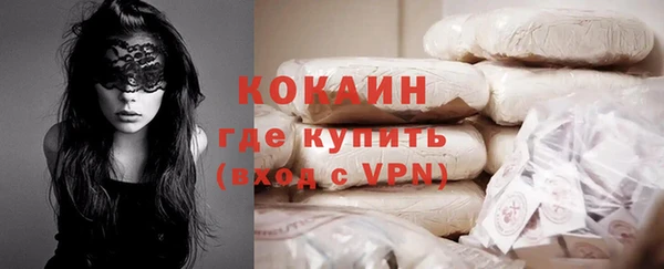 spice Бородино