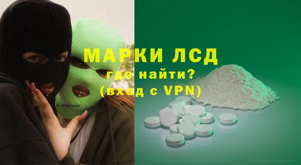 spice Бородино