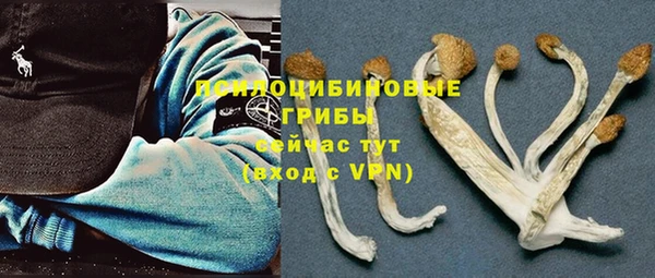MDMA Premium VHQ Бронницы