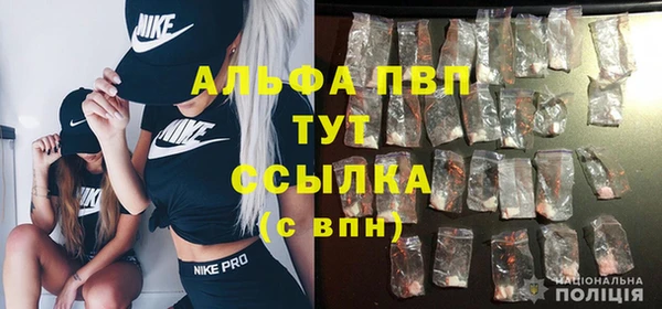 spice Бородино