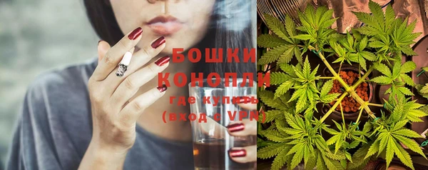 spice Бородино